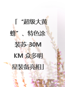“超级大黄蜂”、特色涂装苏-30MKM 众多明星装备亮相