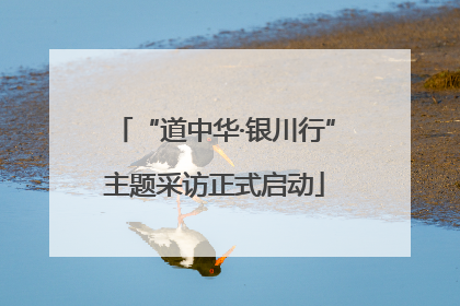 “道中华·银川行”主题采访正式启动