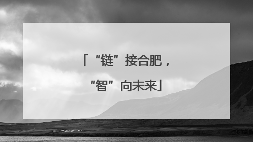 “链”接合肥，“智”向未来