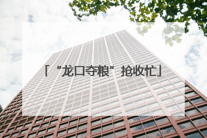 “龙口夺粮”抢收忙