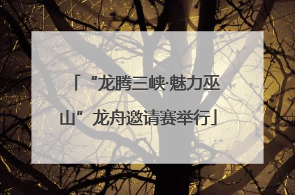 “龙腾三峡·魅力巫山”龙舟邀请赛举行