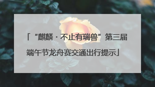 “麒麟・不止有瑞兽”第三届端午节龙舟赛交通出行提示