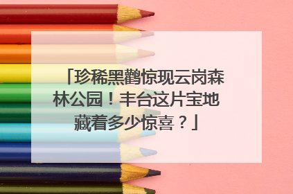 珍稀黑鹳惊现云岗森林公园！丰台这片宝地藏着多少惊喜？