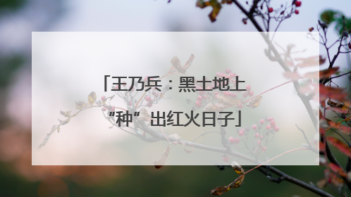 王乃兵：黑土地上“种”出红火日子