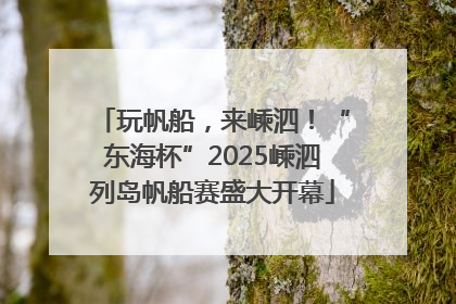 玩帆船，来嵊泗！“东海杯”2025嵊泗列岛帆船赛盛大开幕