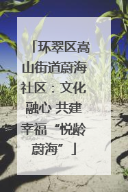 环翠区嵩山街道蔚海社区：文化融心 共建幸福“悦龄蔚海”