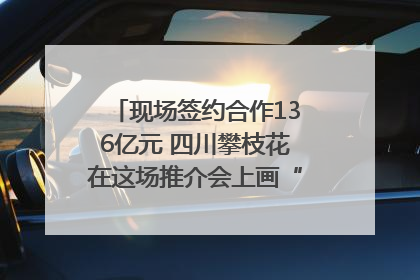 现场签约合作136亿元 四川攀枝花在这场推介会上画“图谱”列“清单”