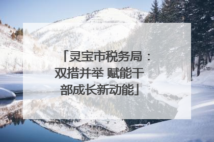 灵宝市税务局：双措并举 赋能干部成长新动能