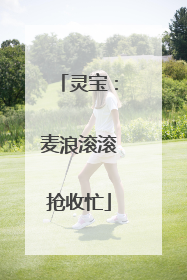 灵宝：麦浪滚滚抢收忙