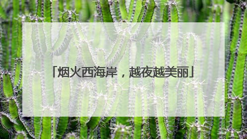 烟火西海岸，越夜越美丽