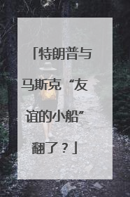 特朗普与马斯克“友谊的小船”翻了？