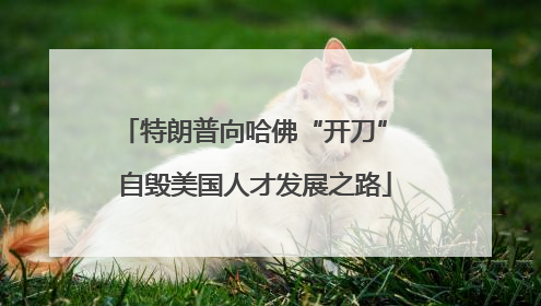 特朗普向哈佛“开刀” 自毁美国人才发展之路