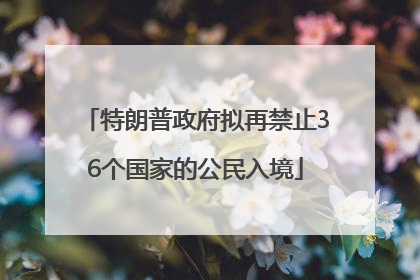 特朗普政府拟再禁止36个国家的公民入境