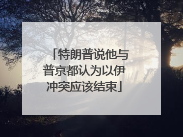 特朗普说他与普京都认为以伊冲突应该结束