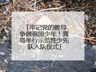 牢记党的教导、争做强国少年！青岛举行示范性少先队入队仪式