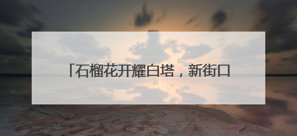石榴花开耀白塔，新街口举办民族共同体宣传活动