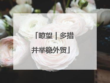 瞭望｜多措并举稳外贸