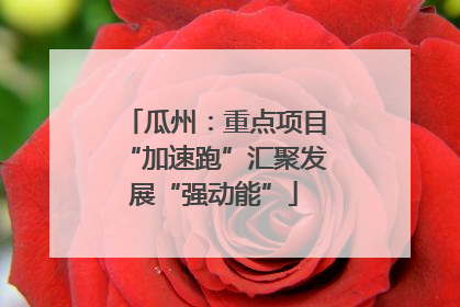 瓜州：重点项目“加速跑”汇聚发展“强动能”