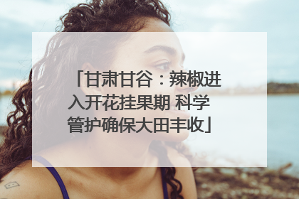 甘肃甘谷：辣椒进入开花挂果期 科学管护确保大田丰收