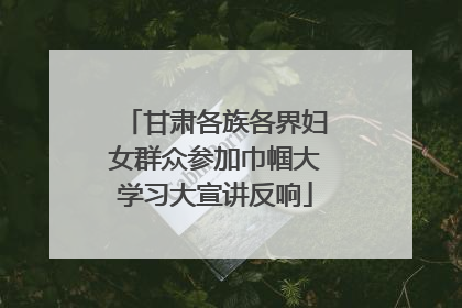 甘肃各族各界妇女群众参加巾帼大学习大宣讲反响