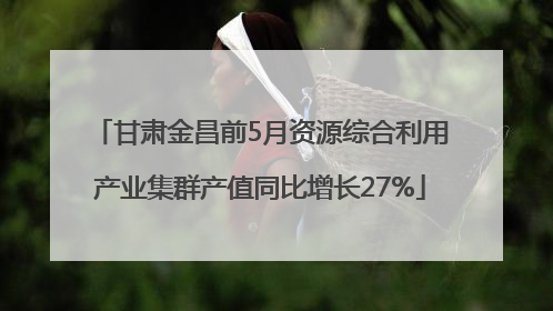 甘肃金昌前5月资源综合利用产业集群产值同比增长27%