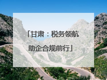 甘肃：税务领航 助企合规前行