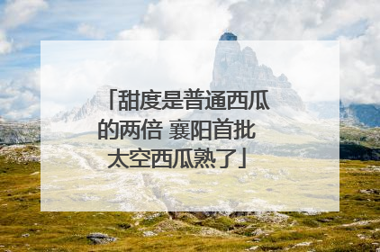 甜度是普通西瓜的两倍 襄阳首批太空西瓜熟了