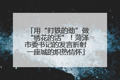 用“打铁的劲”做“绣花的活”！菏泽市委书记的发言折射一座城的炽热情怀
