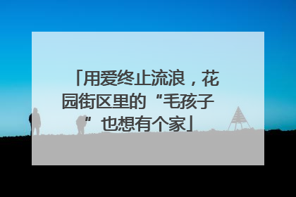 用爱终止流浪，花园街区里的“毛孩子”也想有个家