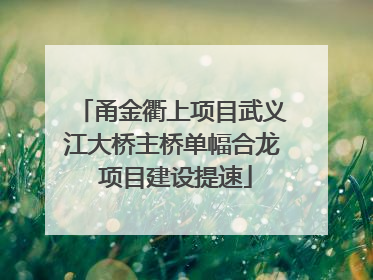 甬金衢上项目武义江大桥主桥单幅合龙 项目建设提速