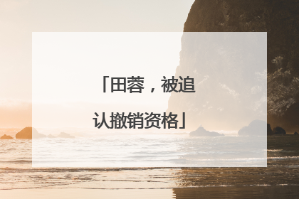 田蓉，被追认撤销资格