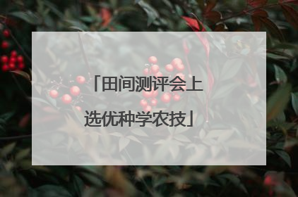 田间测评会上选优种学农技
