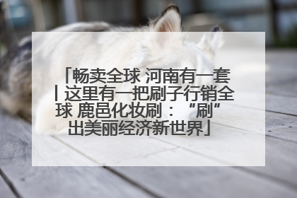 畅卖全球 河南有一套丨这里有一把刷子行销全球 鹿邑化妆刷：“刷”出美丽经济新世界