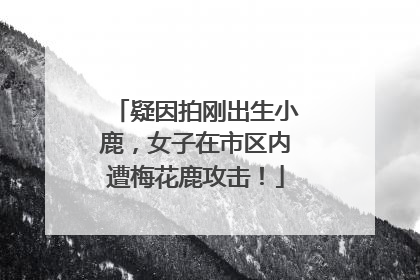 疑因拍刚出生小鹿，女子在市区内遭梅花鹿攻击！
