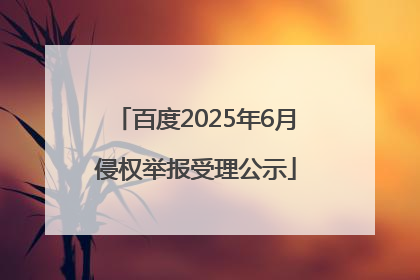 百度2025年6月侵权举报受理公示