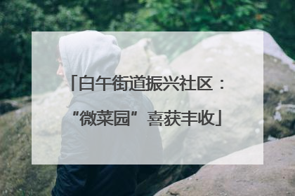 白午街道振兴社区：“微菜园”喜获丰收