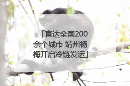 直达全国200余个城市 靖州杨梅开启冷链发运