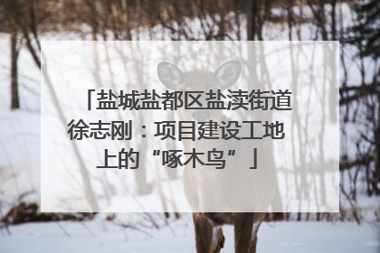 盐城盐都区盐渎街道徐志刚：项目建设工地上的“啄木鸟”