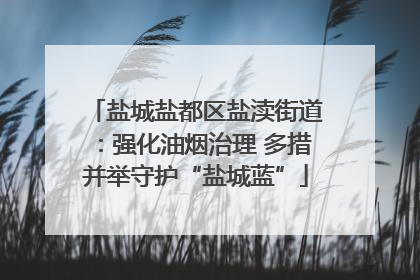 盐城盐都区盐渎街道：强化油烟治理 多措并举守护“盐城蓝”