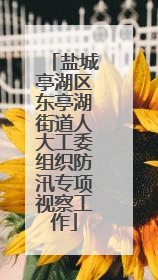 盐城亭湖区东亭湖街道人大工委组织防汛专项视察工作