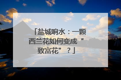 盐城响水：一颗西兰花如何变成“致富花”？