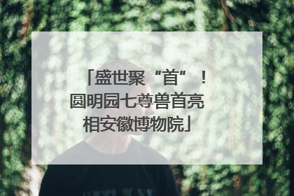 盛世聚“首”！圆明园七尊兽首亮相安徽博物院