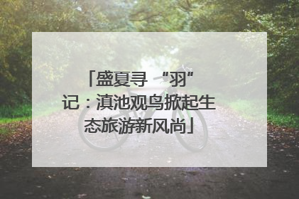 盛夏寻 “羽” 记：滇池观鸟掀起生态旅游新风尚