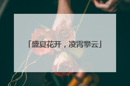 盛夏花开，凌霄攀云