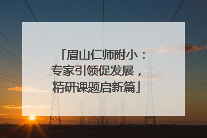 眉山仁师附小：专家引领促发展，精研课题启新篇