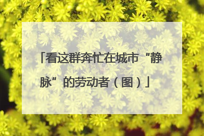 看这群奔忙在城市“静脉”的劳动者（图）