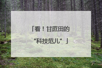 看！甘蔗田的“科技范儿”