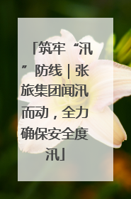 筑牢“汛”防线｜张旅集团闻汛而动，全力确保安全度汛