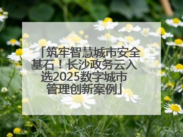 筑牢智慧城市安全基石！长沙政务云入选2025数字城市管理创新案例