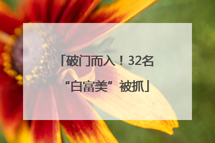 破门而入！32名“白富美”被抓